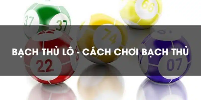 Cách chơi bạch thủ lô đơn giản và dễ hiểu cho người mới