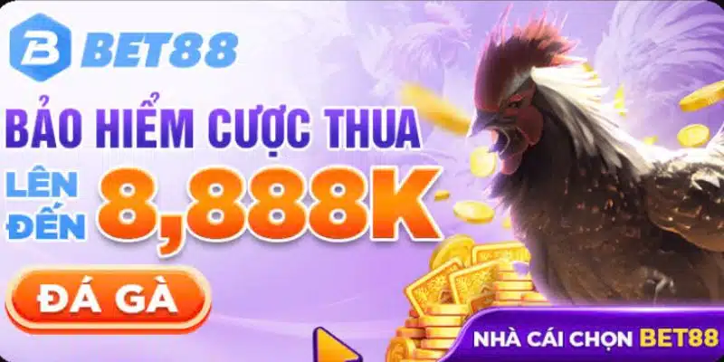 Sự kiện trả bảo hiểm khi bạn cược thua