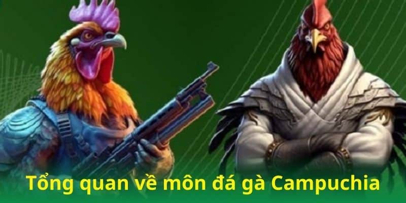 Sơ bộ môn đá gà Campuchia